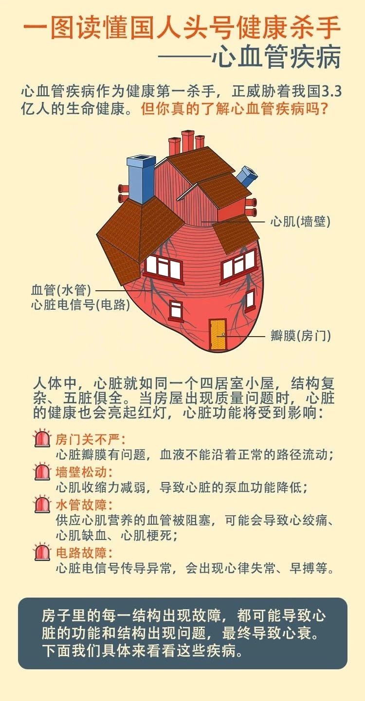 一图读懂国人头号健康杀手——心血管疾病