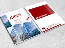 出现哪些情况后投标人在标书制作时可以质疑? 出现哪些情况后投标人在标书制作时可以质疑?