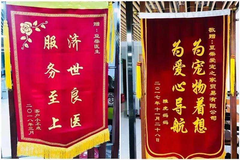 【在线宠物医生咨询】猫咪肠胃太娇贵,养食应有法 【在线宠物医生咨询】猫咪肠胃太娇贵,养食应有法