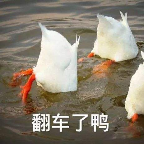 《家有儿女》官宣翻拍,网友:大可不必! 《家有儿女》官宣翻拍,网友:大可不必!