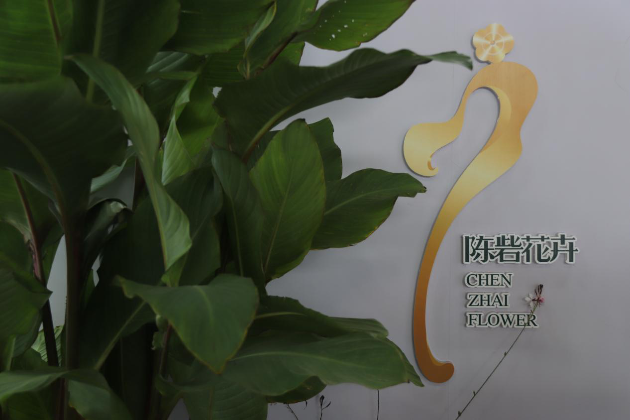 第二十二届中国国际花卉园艺展览会——陈砦花卉园艺作品《合》