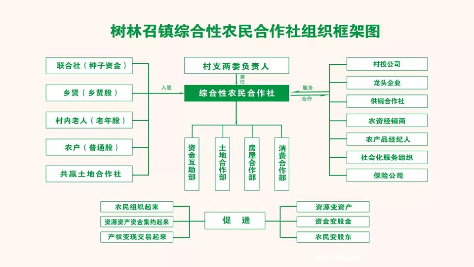 徐祥临：树林召模式，让全产业链收益，重返农户