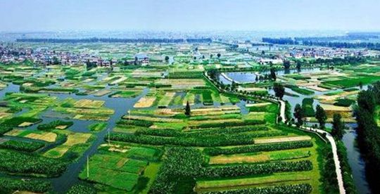 江苏每年创建200个园艺作物标准园