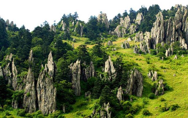 科学开展山水林田湖草一体化保护和修复的指引 科学开展山水林田湖草一体化保护和修复的指引