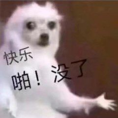 初中化学定制班 | 把握化学学习新节奏,学有余力我要冲 初中化学定制班 | 把握化学学习新节奏,学有余力我要冲