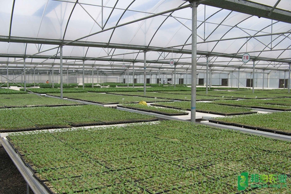 安徽舒城金桥现代农业园区温室智能控制系统