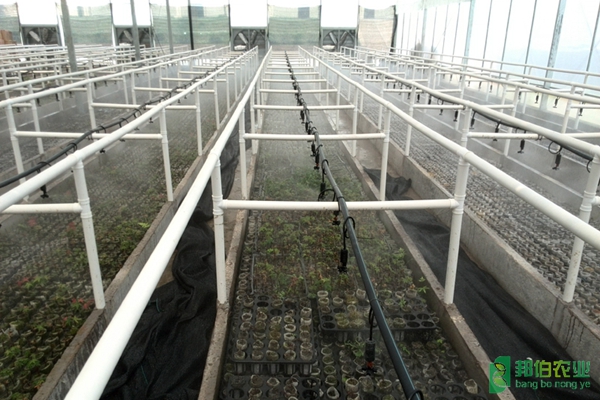 安徽舒城金桥现代农业园区温室智能控制系统