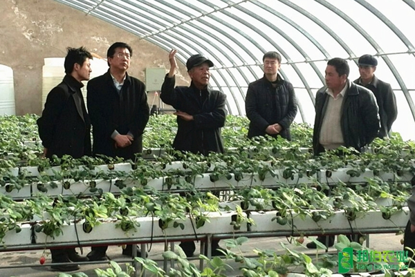 甘肃临夏草莓园水肥一体化灌溉系统