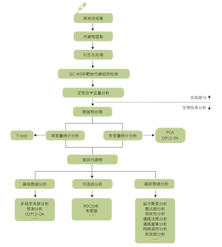 LC-MS分析?- 非靶標代謝組學 LC-MS分析?- 非靶標代謝組學