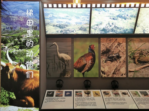 重庆迎龙湖国家湿地公园农耕文化宣教展示亿博开户