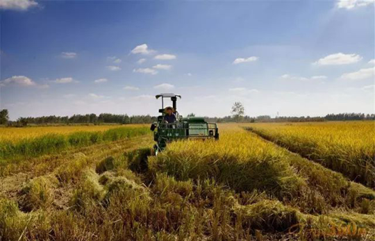 关于开展农作物生产全程机械化推进行动的意见