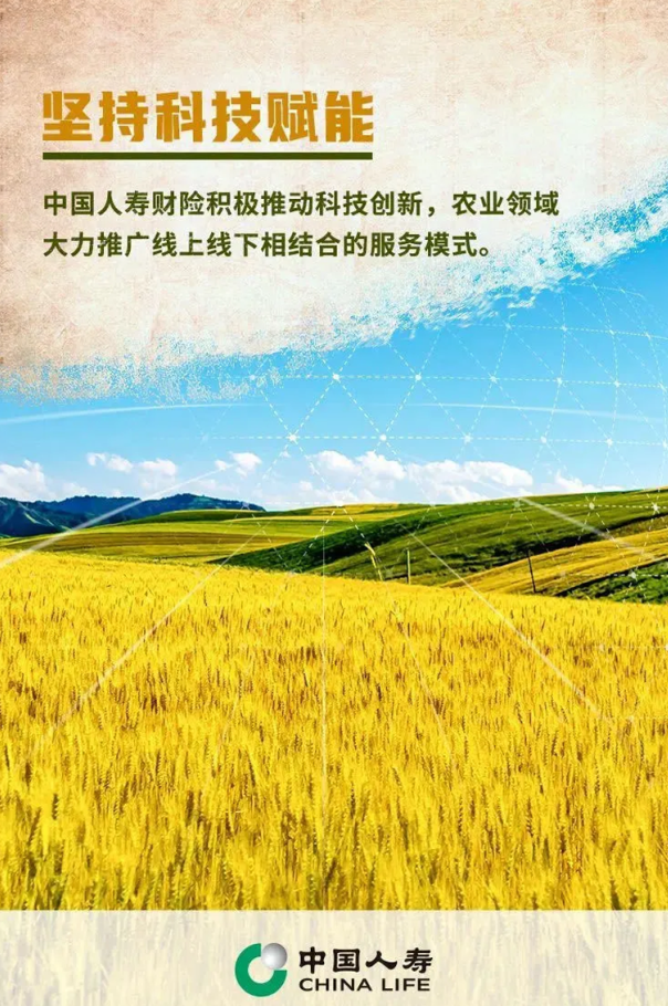打出金融“组合拳”！看中国人寿助力黄河流域高质量发展