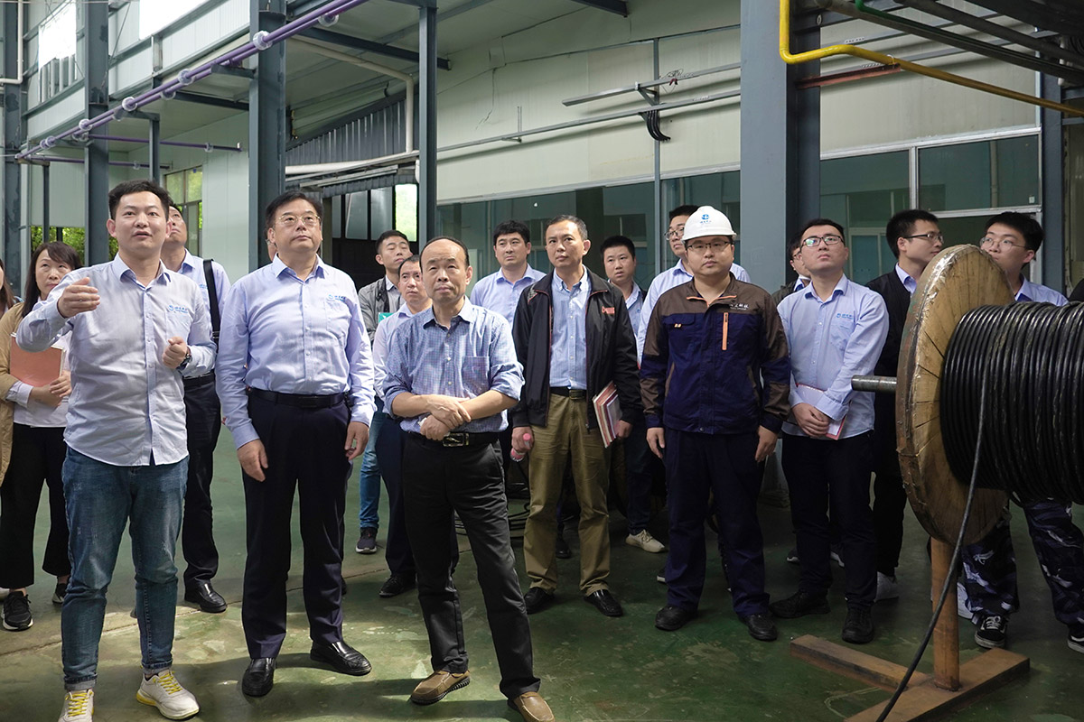 知行合一 慎始如终 —上海烯望材料科技公司开展“六比一争“活动