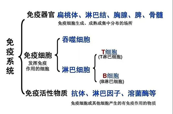 呼吸強(qiáng)肺、提升免疫有多重要，看完你就知道