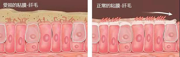 呼吸強(qiáng)肺、提升免疫有多重要，看完你就知道