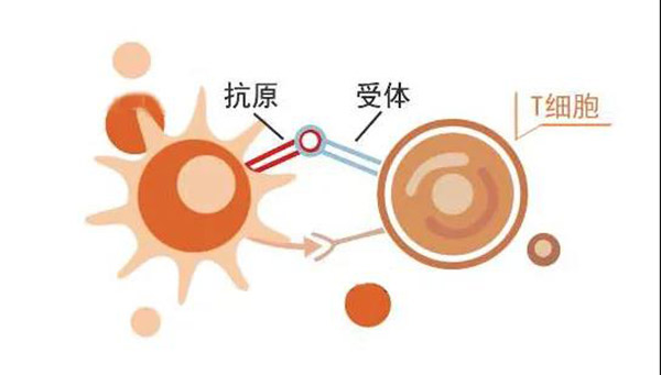 呼吸強(qiáng)肺、提升免疫有多重要，看完你就知道