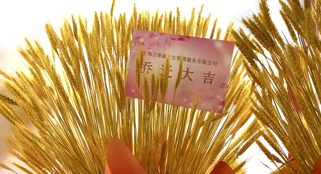 喜迎发展新征程，卫事康乔迁新址！