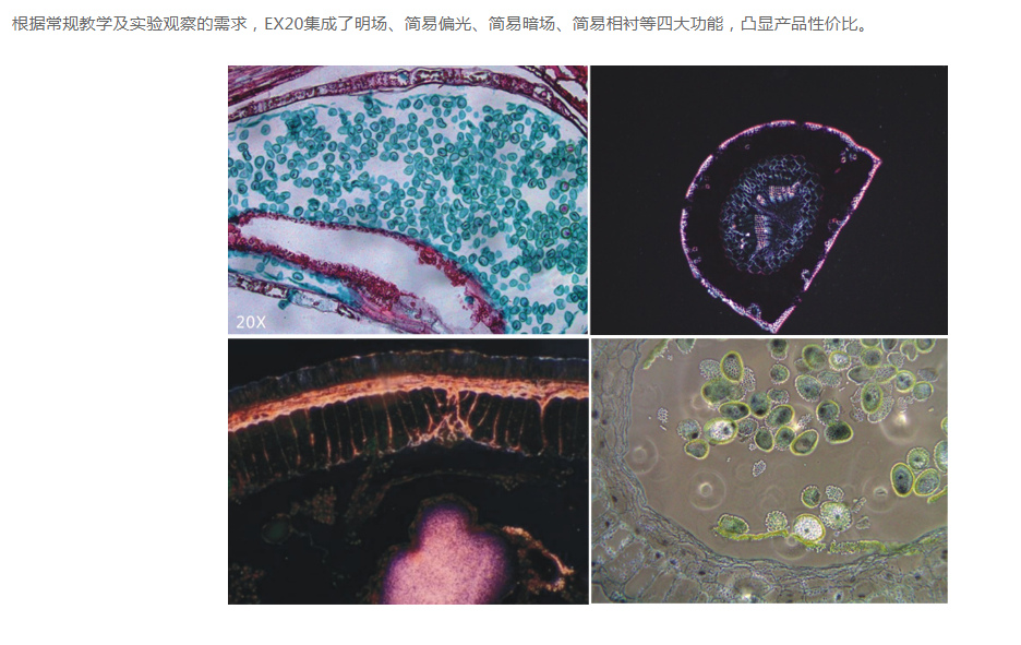 EX20高校中小学实验室教学生物显微镜