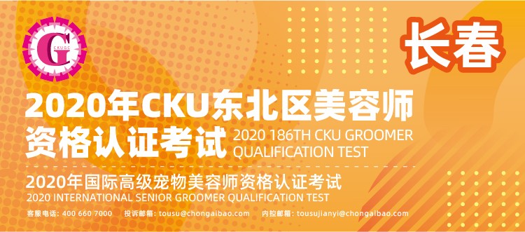2020年10月20日长春
