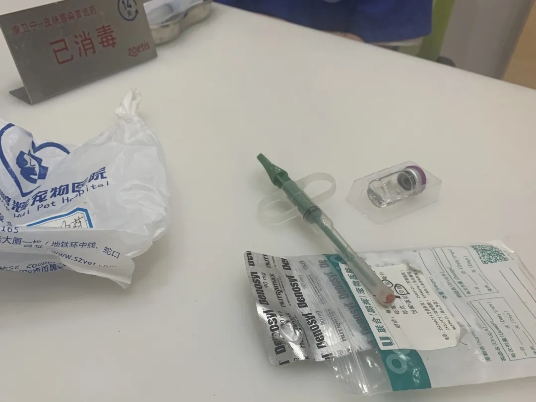 猫传腹 | 别放弃，你的猫猫比你更舍不得离开