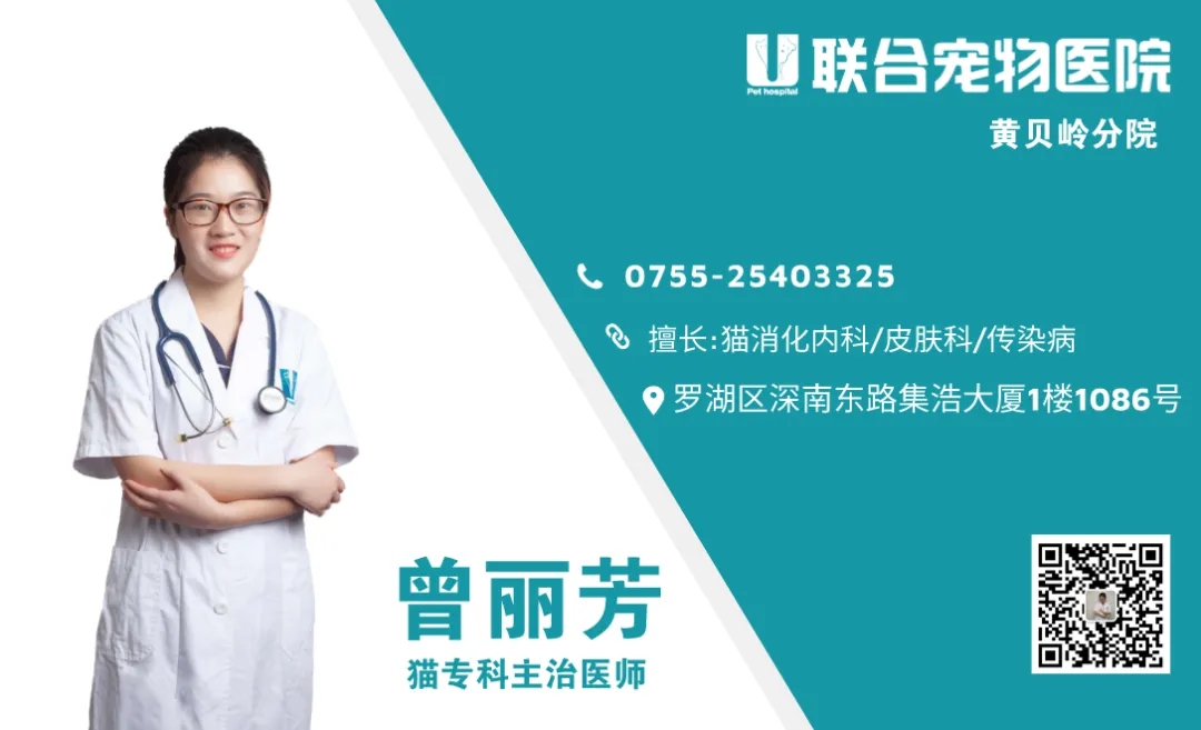 科普篇 | 猫传腹别放弃，你的猫猫比你更舍不得离开