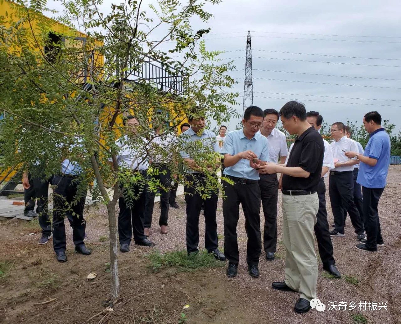 全国人大常委会委员朱明春一行到我司调研文冠果乡村振兴产业 全国人大常委会委员朱明春一行到我司调研文冠果乡村振兴产业