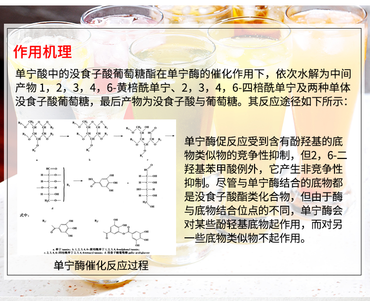 夏盛固体食品级单宁酶300酶活(茶饮/果汁果酒/植提可用)FDG-2254