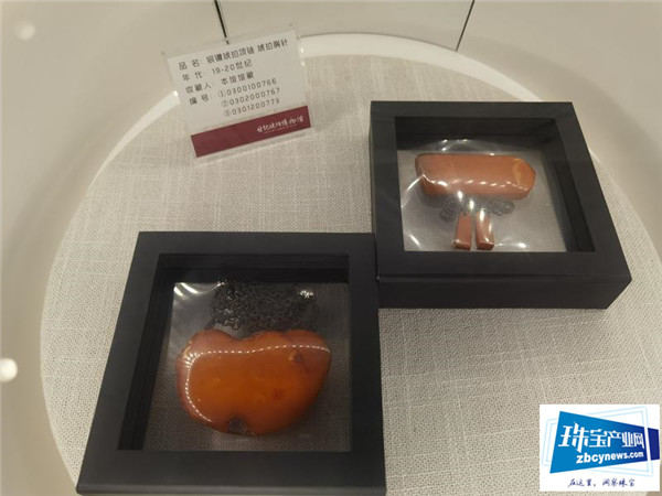 全球馆藏琥珀珍品图片展在松岗世纪琥珀博物馆亮相 全球馆藏琥珀珍品图片展在松岗世纪琥珀博物馆亮相