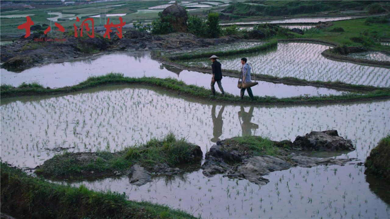 觀優(yōu)秀國產(chǎn)電影《十八洞村》，看中國大地山河巨變