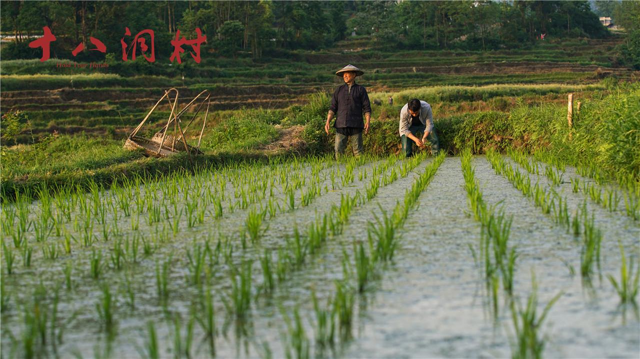 觀優(yōu)秀國產(chǎn)電影《十八洞村》，看中國大地山河巨變