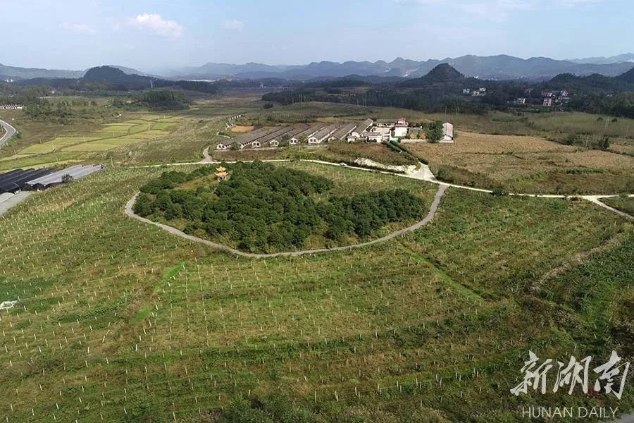 觀優(yōu)秀國產(chǎn)電影《十八洞村》，看中國大地山河巨變