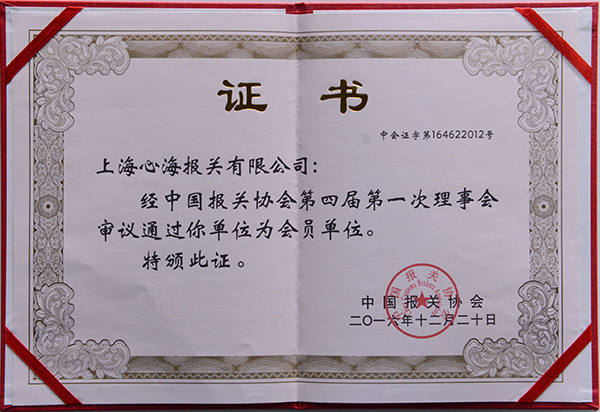 杨叶飞 杨叶飞