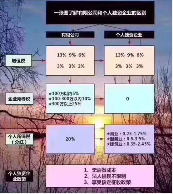 个人独资企业 个人独资企业