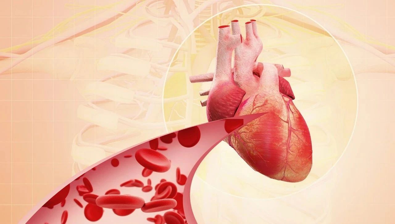 心血管病成全球人类第一杀手！前沿科研揭示：灵芝孢子油可保护心血管
