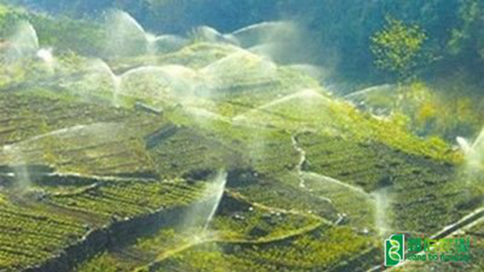 我国农业用水总量实现零增长 我国农业用水总量实现零增长