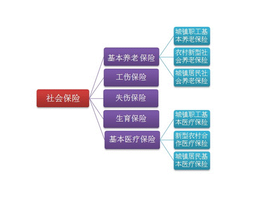社会保险登记 社会保险登记