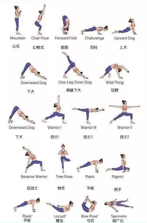 6套流瑜伽系列 配合呼吸一起来吧 6套流瑜伽系列 配合呼吸一起来吧