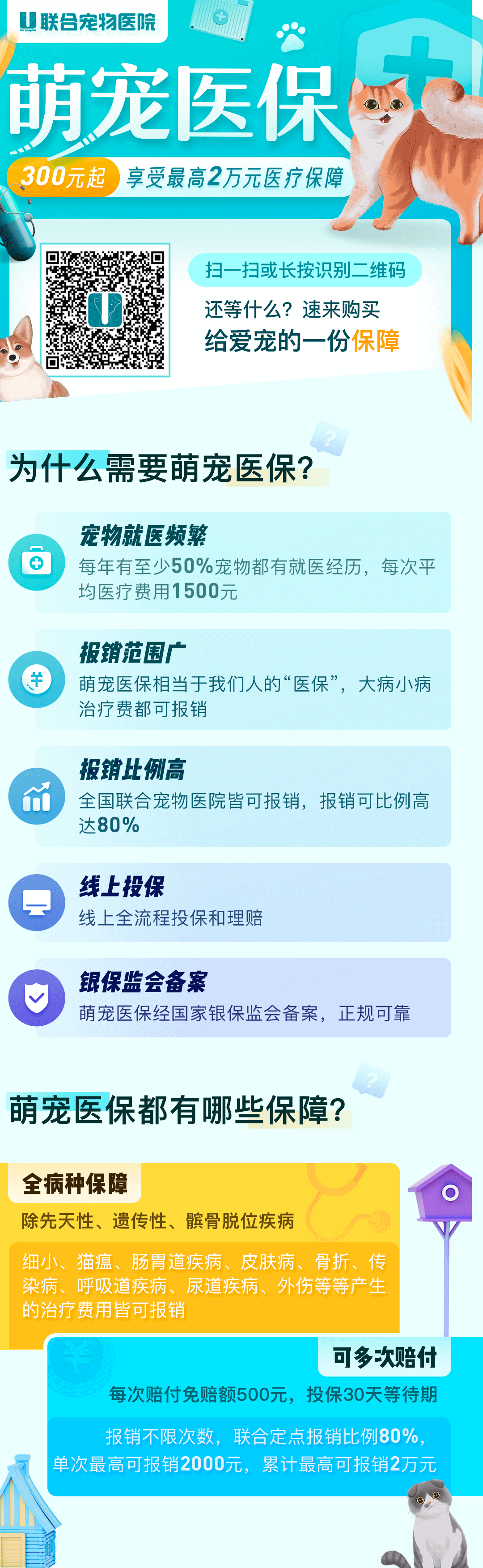 健康篇 | 看病太费钱？你的宠物也可以有“医保”了！