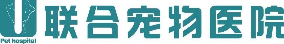 健康篇 | 看病太费钱？你的宠物也可以有“医保”了！