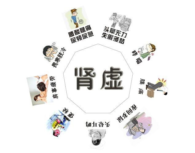 中醫腫瘤學術傳承人雷曉林教授:腎虛夜尿多,該這樣藥補! 中醫腫瘤學術傳承人雷曉林教授:腎虛夜尿多,該這樣藥補!
