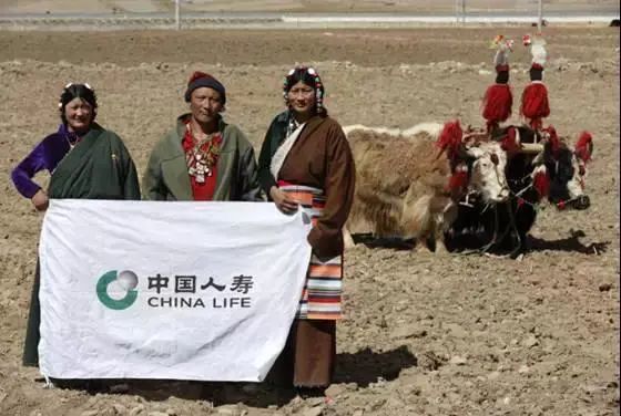 4000米海拔的坚守 中国人寿持续助力藏区高质量发展 4000米海拔的坚守 中国人寿持续助力藏区高质量发展