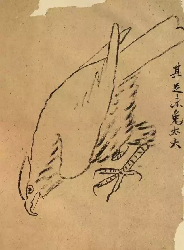 罕见齐白石画稿,原来大师是这样炼成的! 罕见齐白石画稿,原来大师是这样炼成的!