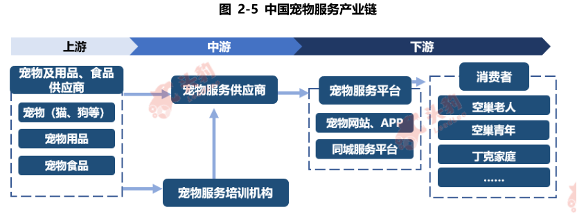 宠物服务内容持续细化分类，连锁化终端成行业趋势丨报告