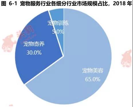 宠物服务内容持续细化分类，连锁化终端成行业趋势丨报告