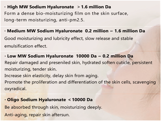 Cosmetic Grade Sodium Hyaluronate Cosmetic Grade Sodium Hyaluronate