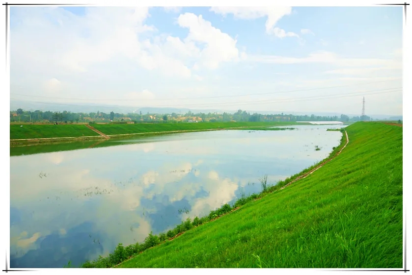 净化水质、美化河道：普利匡环保生态植生混凝土护坡系统