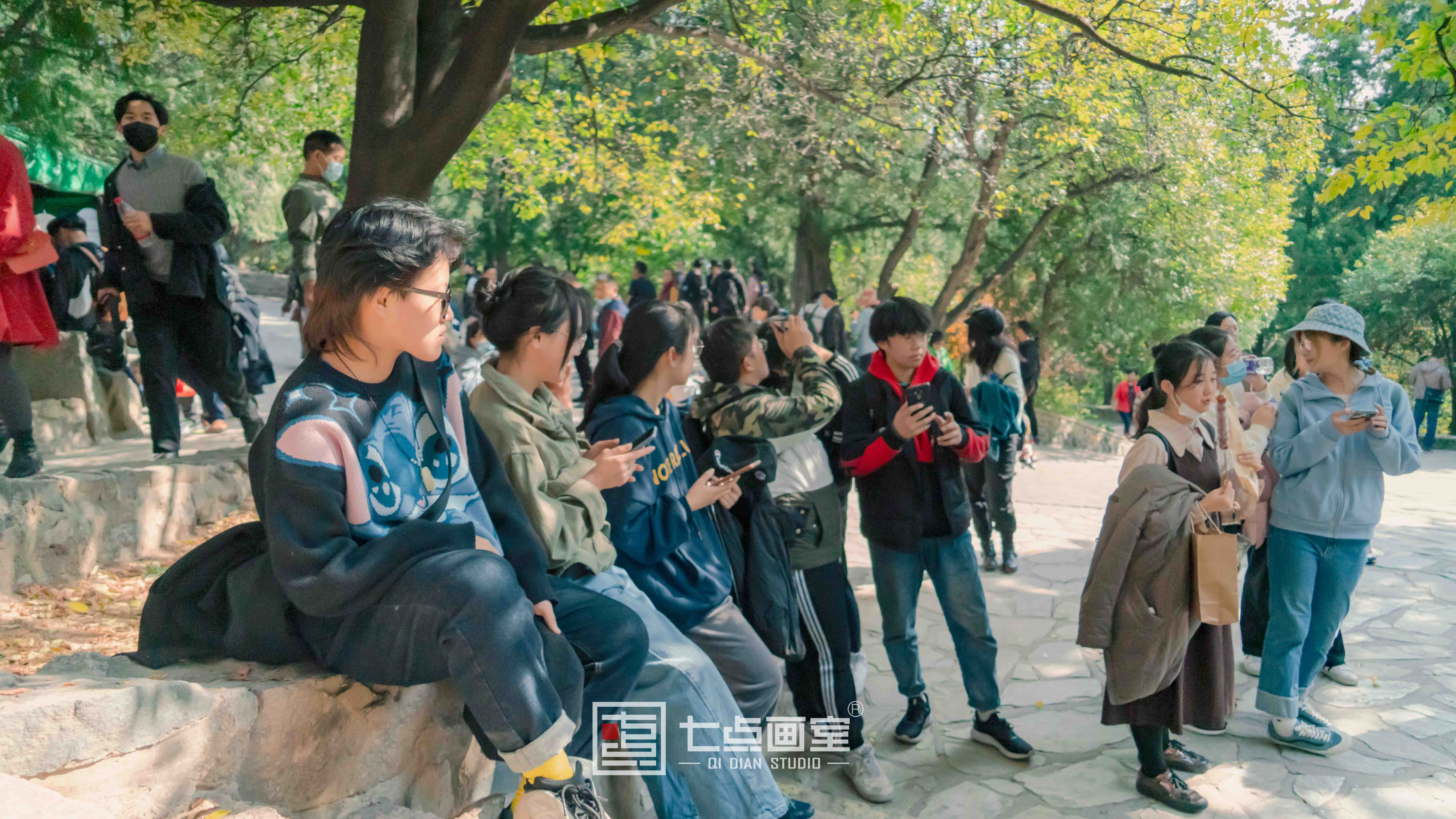 我们各自努力,在山顶上见 我们各自努力,在山顶上见