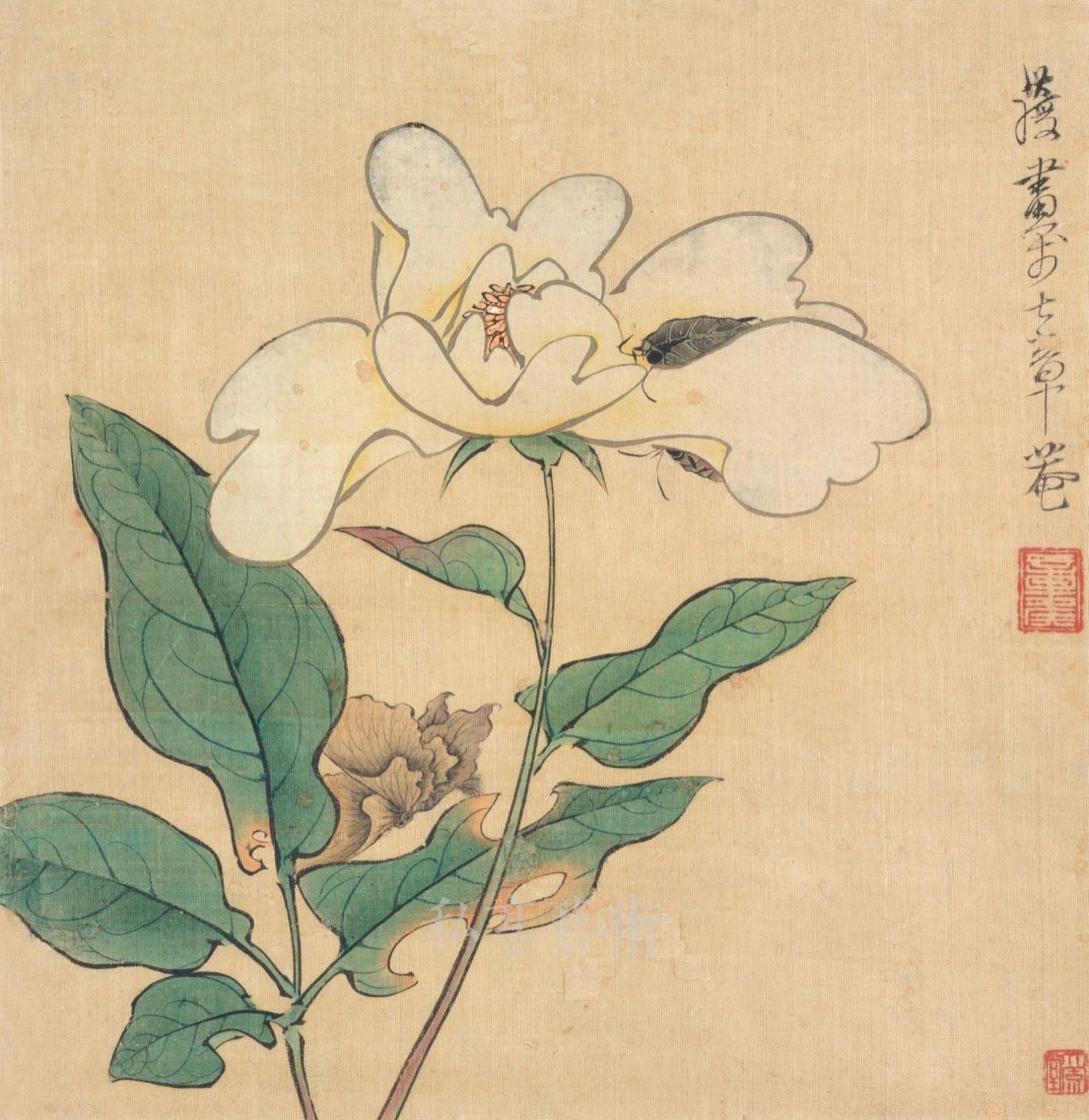 陈洪绶:生命清供 陈洪绶:生命清供