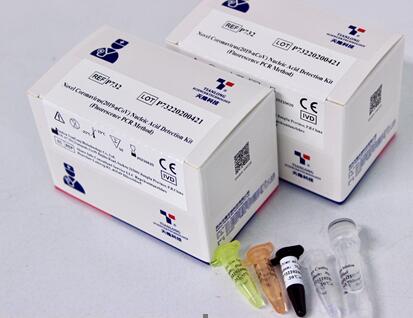 The overall solution to nucleic acid detection of SARS-CoV-2 The overall solution to nucleic acid detection of SARS-CoV-2