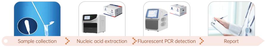 The overall solution to nucleic acid detection of SARS-CoV-2 The overall solution to nucleic acid detection of SARS-CoV-2